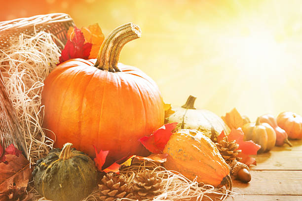 istock Autumn still life in bright sunlight 175504472