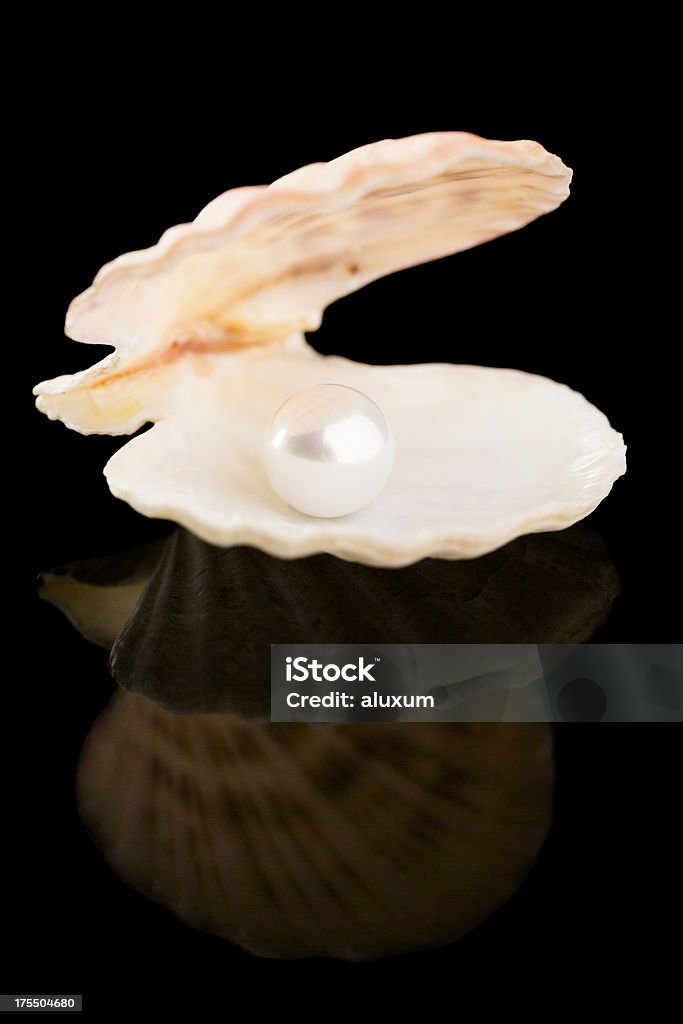 Pearl all'interno dello shell - Foto stock royalty-free di Aperto