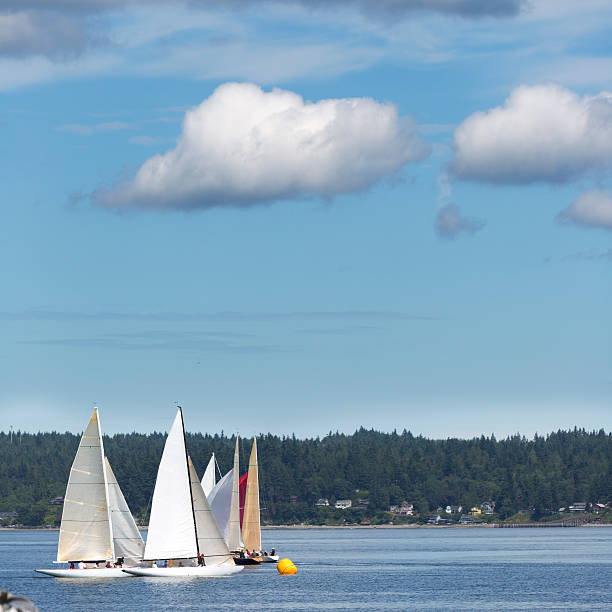 istock Sailboat race mark rounding 175504861