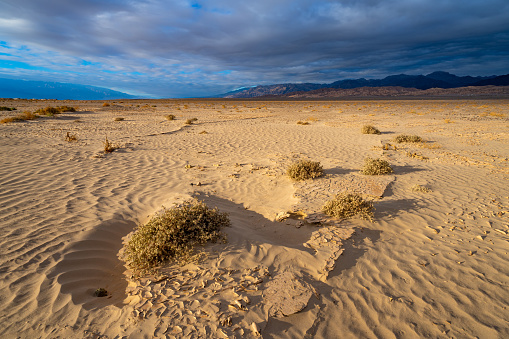 Stunning beauty in the form of barren badlands and desert landscapes.