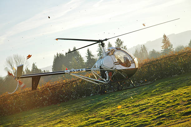 A helicopter lands on a grassy field with leafs and dust flying up around it.