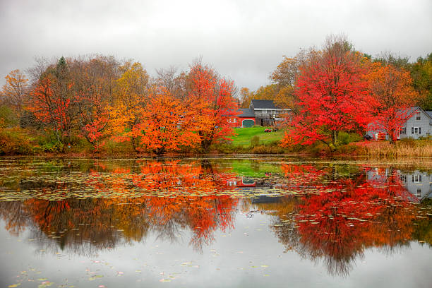 Autumn foliage in rural Marlow, New Hampshire. Photo taken on a calm foggy morning during the peak fall foliage season. New Hampshire is one of New England's most popular fall foliage destinations bringing out some of  the best foliage in the United States