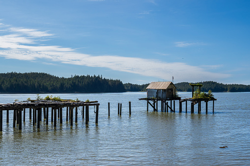 Old building abandoned on posts in the ocean in Port Edward, BC.