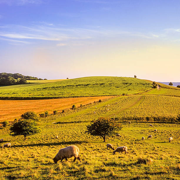 chilterns - ridgeway 뉴스 사진 이미지