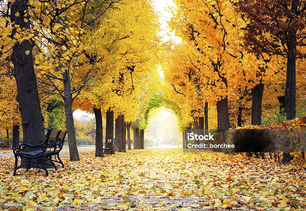 Otoño Park - Foto de stock de Austria libre de derechos