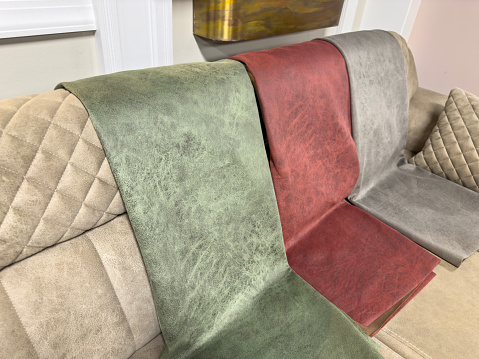 Upholstered sofa with variation of color samples