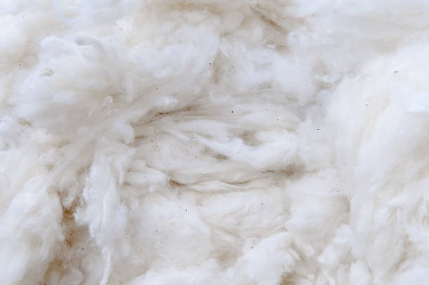 istock Raw cotton at market in Egypt 175505773