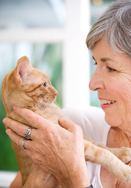 istock Senior woman with her pet cat 175505868