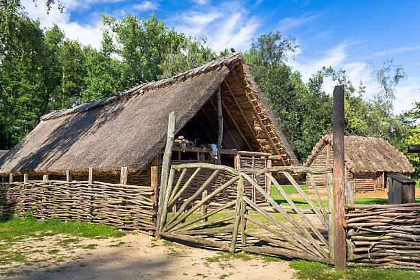 The old Slavic settlement "The old, early medieval Slavic settlement, Biskupin, PolandSee more RURAL SCENE images here:" straw roof stock pictures, royalty-free photos & images