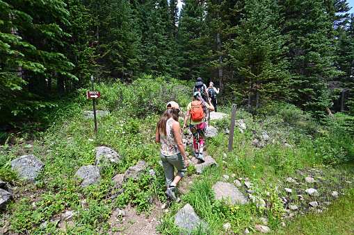 Arapaho National Forest, Colorado - 07/28/2021: Hikers on Hassell Lake Trail on sunny summer afternoon.
