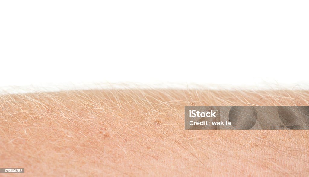 Secador por brazo humano - Foto de stock de Lupa - Instrumento óptico libre de derechos