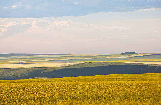 rolar landforms-da-pradaria - prairie wide landscape sky imagens e fotografias de stock