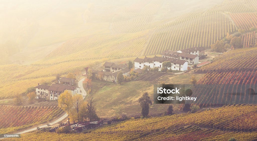 Val d'Orcia vista de granja toscana, Italia - Foto de stock de Agricultura libre de derechos