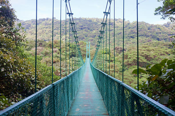 istock hanging bridge, Costa Rica 175506909