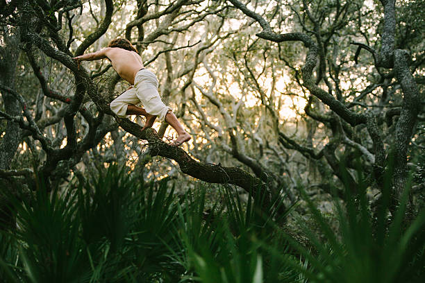 tronco nu homem sobe em um galho de árvore ao pôr-do-sol - georgia sunlight healthy lifestyle cumberland island - fotografias e filmes do acervo