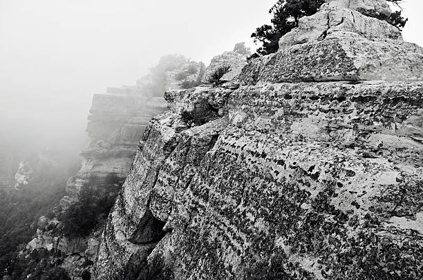 istock Grand Canyon North Rim 175507069