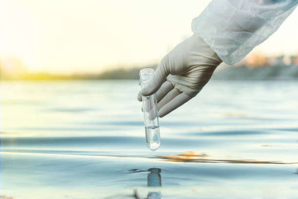 istock Fence, check the water sample for infections. Gloved hand with a flask and a test tube on a background of lake, river, sea. Pollution of ecology, environment 1755072402
