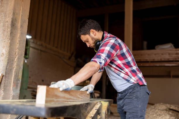 istock Carpenter cutting wood while working at a lumberyard 1755074192