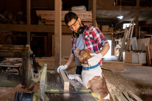 Carpenter petting his dog while working at a lumberyard