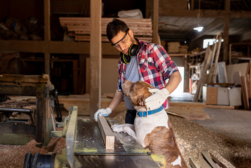Latin American carpenter petting his dog while working at a lumberyard cutting some wood
