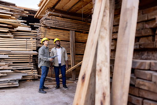 Team of Latin American workers looking at a stack of wood while working at a lumberyard