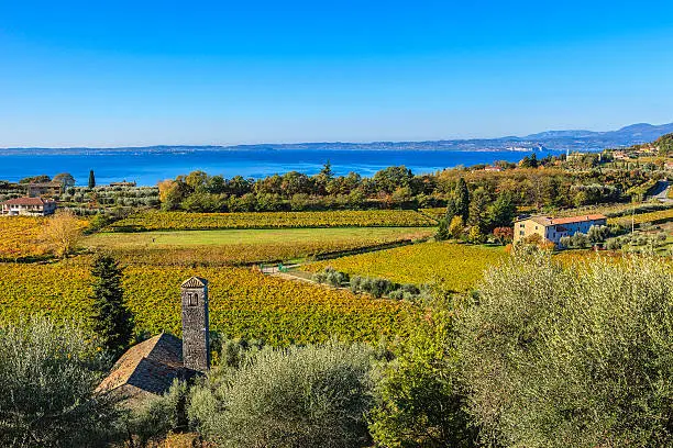 Bordering Lake Garda, Verona’s fertile hills are the home of the Bardolino vineyards producing the tasteful wines of the same name, famous throughout the world and celebrated very frequently in local sagras. Located in the northern Italy, Lake Garda is the largest Italian lake and a major tourist destination.