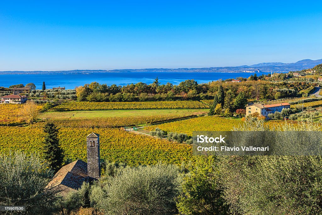 Vinhas no Outono, Lago de Garda, Itália - Royalty-free Bardolino Foto de stock