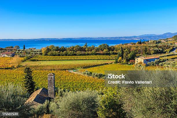 Vinhas No Outono Lago De Garda Itália - Fotografias de stock e mais imagens de Bardolino - Bardolino, Verona - Itália, Lago Garda