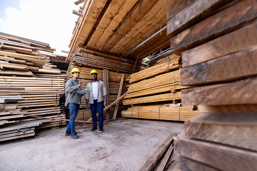 Team of Latin American men working at a lumberyard taking inventory on piles of wood
