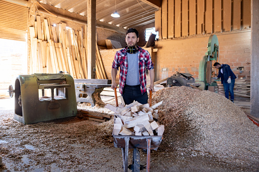 Latin American man working at a lumberyard carrying pieces of wood on a wheelbarrow - timber industry concepts