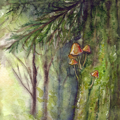 Sunlight forest wood coniferous tree spruce pine trunk with mushrooms and moss. Hand drawn watercolor illustration art.