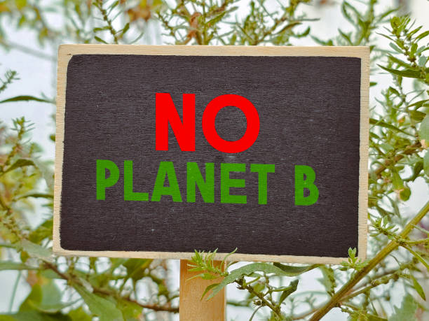 istock NO Planet B written on a chalk board for world environment day 1755080449