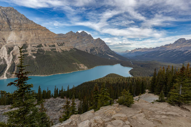 istock Peyto Lake in Canada 1755082111