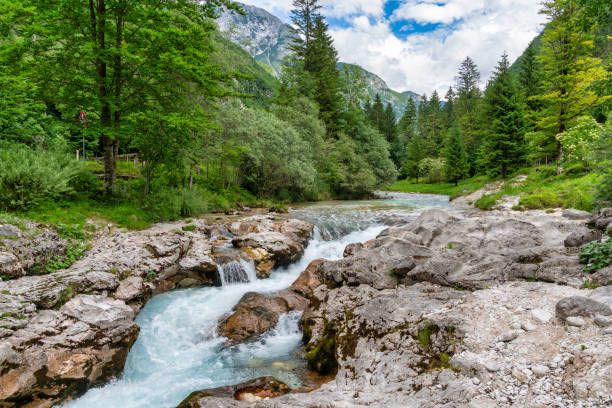 istock Triglav National Park 1755088602