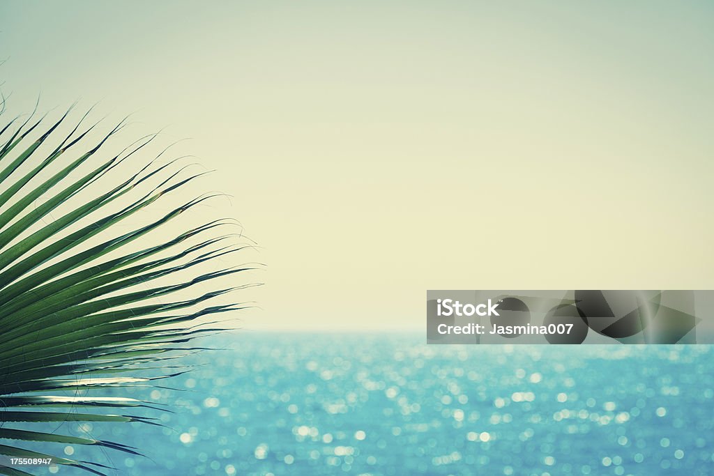 Palm and sea Alanya Stock Photo