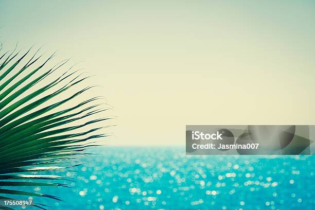 Palm And Sea Stock Photo - Download Image Now - Alanya, Beach, Beauty In Nature
