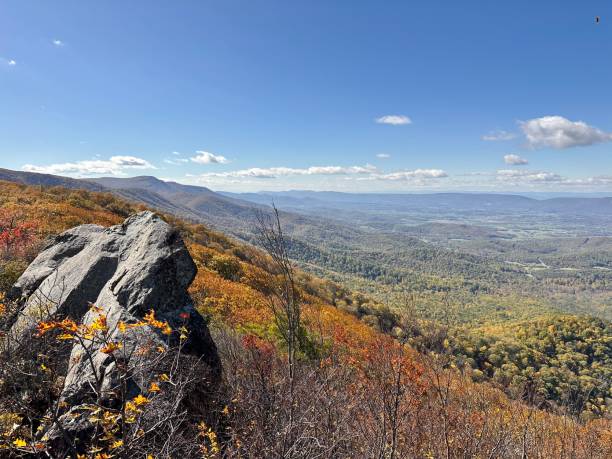 istock Autumn Shenandoah National Park 1755091313