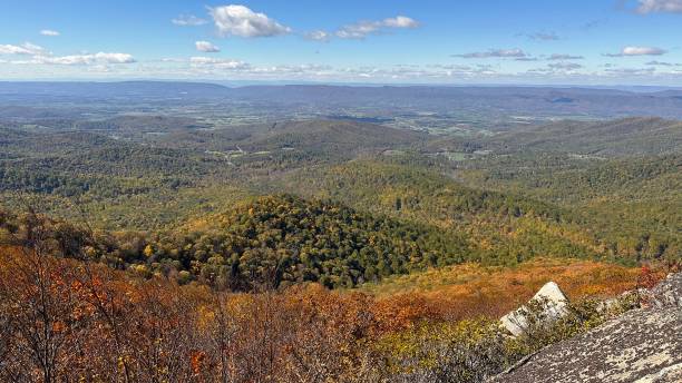 jesienny park narodowy shenandoah - shenandoah river valley zdjęcia i obrazy z banku zdjęć