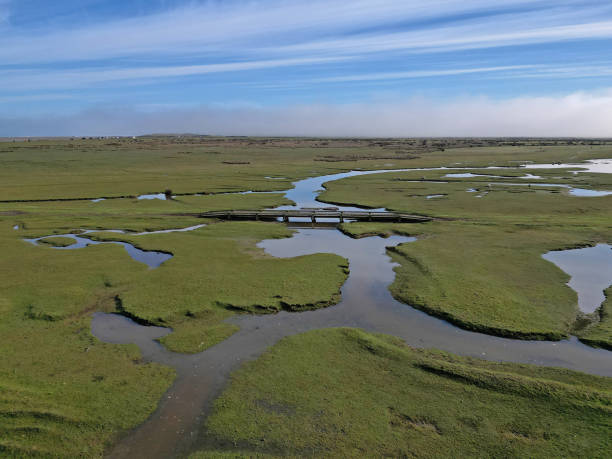 istock Wooden bridge over wetland pasture in Devon UK 1755094144