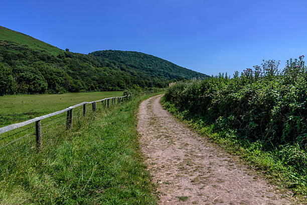 cancello - bridle path foto e immagini stock