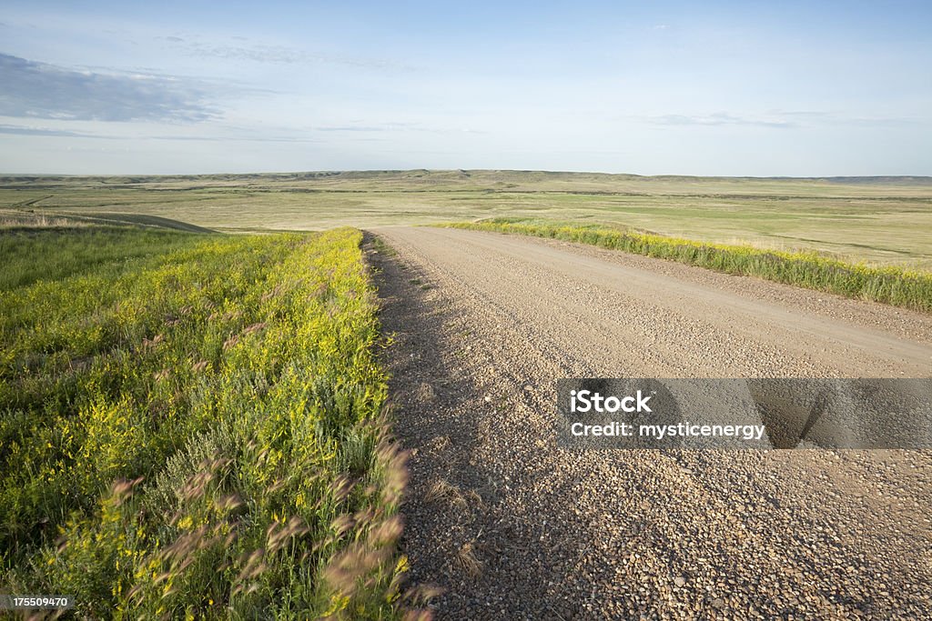 Grasslands National Park - Lizenzfrei Badlands Stock-Foto