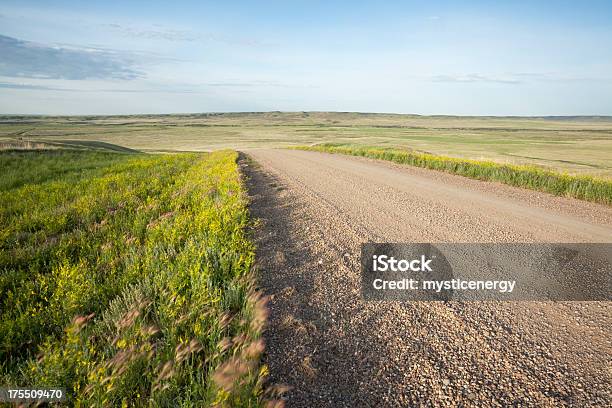 Foto de Parque Nacional De Grasslands e mais fotos de stock de Agricultura - Agricultura, Amarelo, América do Norte