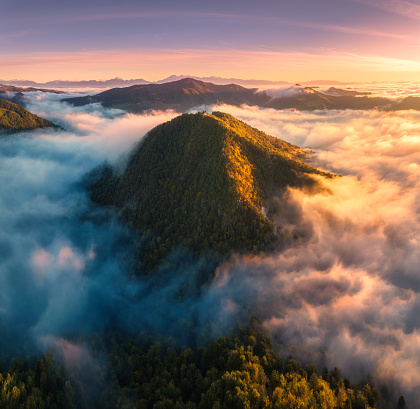 Aerial view of mountain peak in low clouds at sunrise in autumn. Top drone view of hills with red and orange trees in fog, colorful sky in fall. Slovenia. Nature. Mountain valley. Autumn forest. Alps