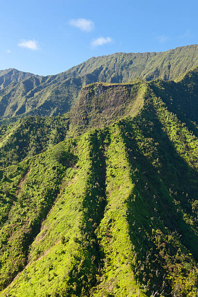 istock Kauai Tropical Rain Forest 175510845