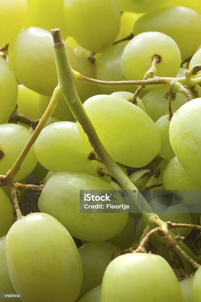 Fruits Images fixes: Raisins vert - Photo de Raisin libre de droits