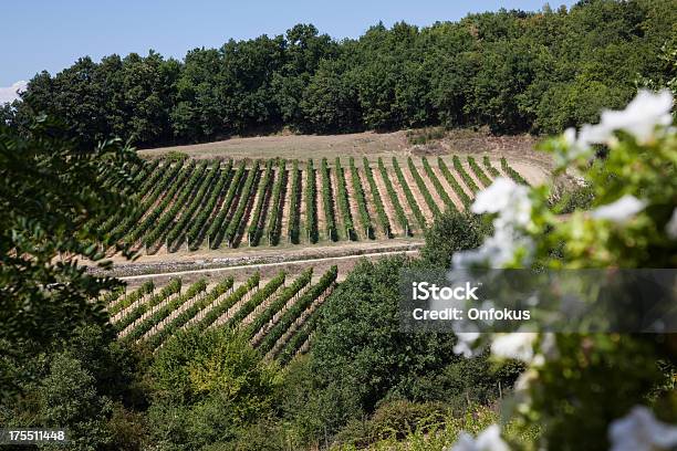 De Chianti Italia Mirando Hacia Abajo Hacia Vineyard Foto de stock y más banco de imágenes de Aire libre