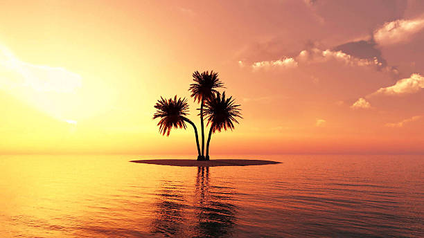 puesta de sol romántica en la playa de verano - north shore hawaii islands oahu island fotografías e imágenes de stock