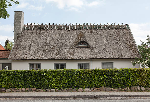 Thatched house Old thatched house outside Copenhagen. Originally used as a home for farm workers but today it is the dream for many people living in the center of bigger cities. straw roof stock pictures, royalty-free photos & images