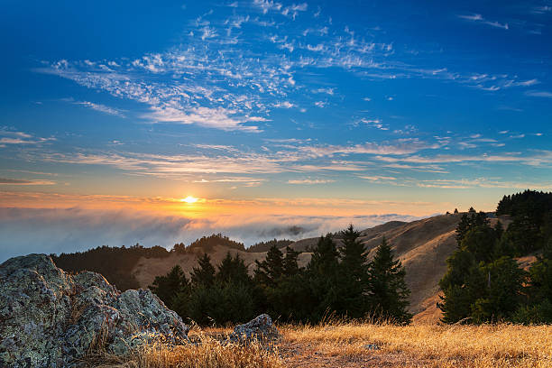 Marin California Sunset