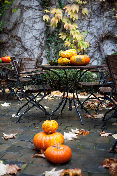 istock Pumpkins and fallen leaves in a patio 175512776